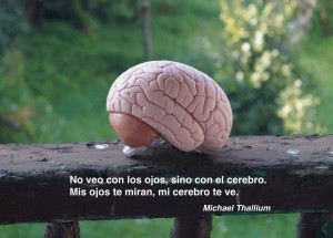 Mi cerebro te ve